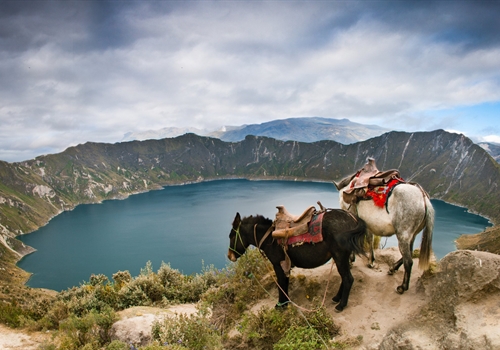 Travel health advisories for South America